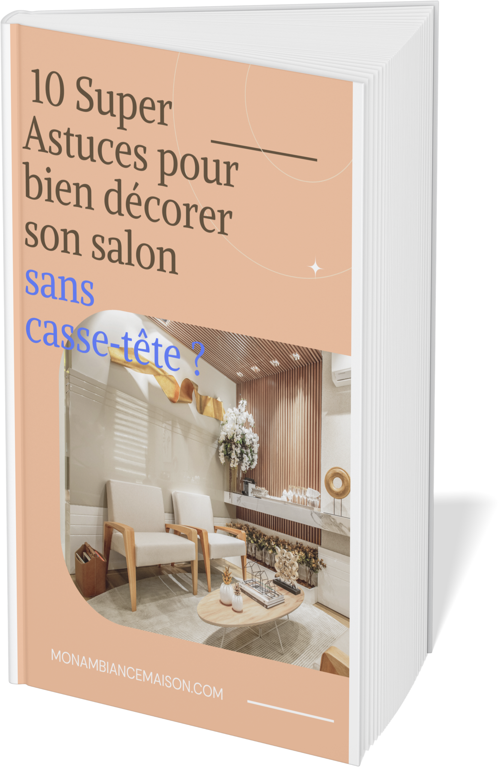 10 Super Astuces pour bien décorer son Salon sans casse tete ?